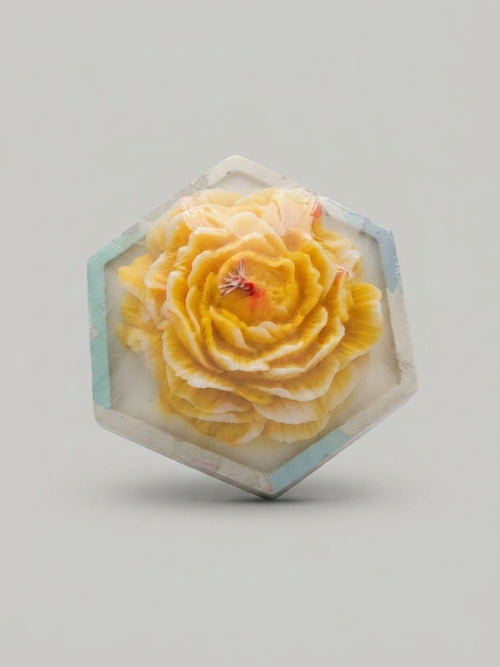 Butter on Cream Rose Hexagon Candle - Crafted by Chitra